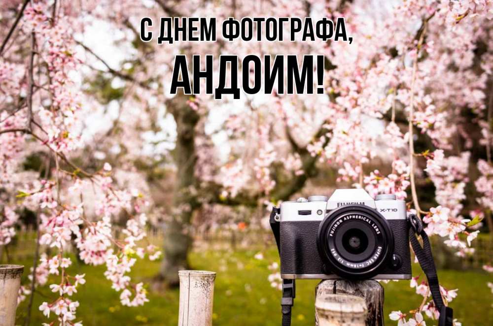 Открытка на каждый день с именем, Андоим С днем фотографа сирень с днем фотографа, фотоаппарат Прикольная открытка с пожеланием онлайн скачать бесплатно 