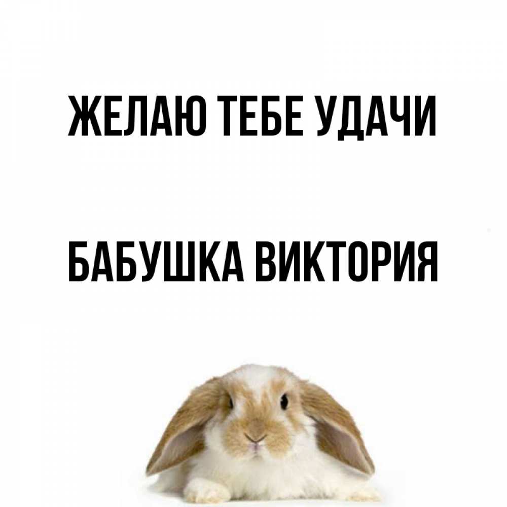 Открытка на каждый день с именем, Бабушка-Виктория Желаю тебе удачи открытки с произвольным текстом который можно вставить в открытку и создать ее самостоятельно бесплатно онлайн Прикольная открытка с пожеланием онлайн скачать бесплатно 