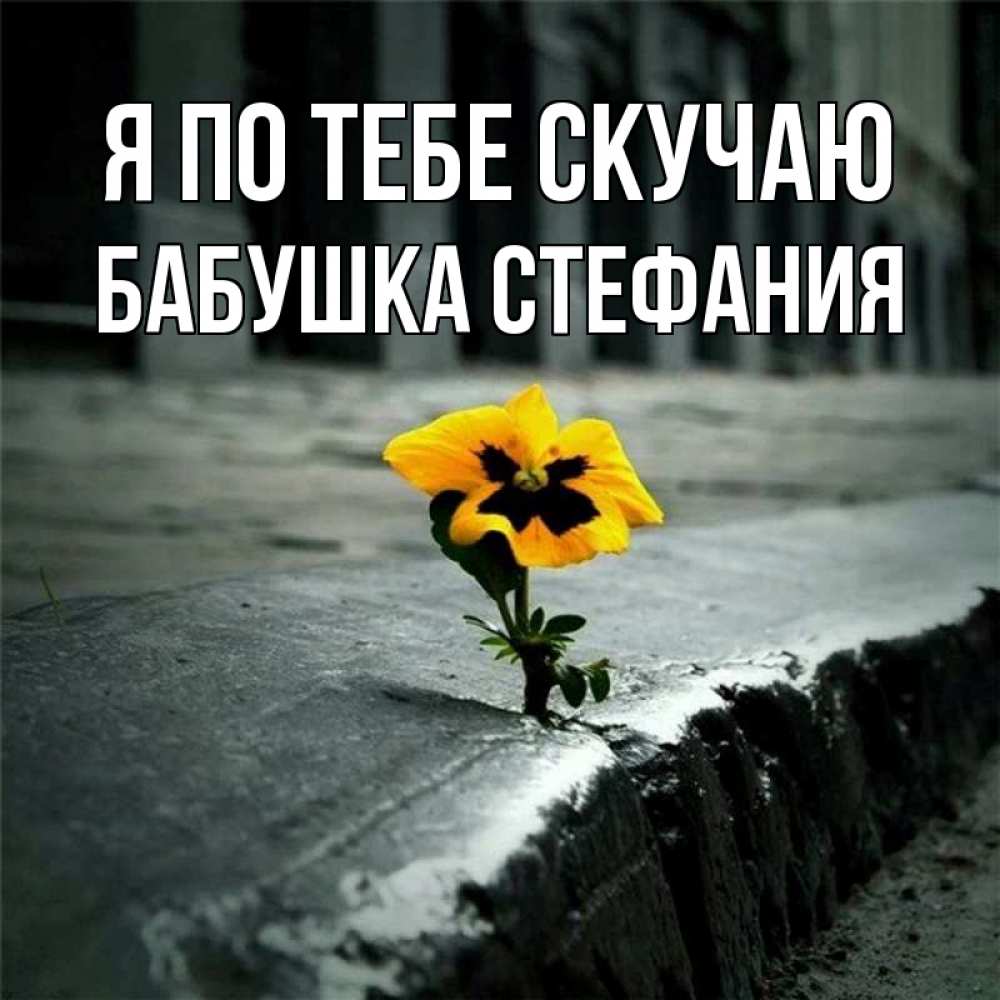 Открытка на каждый день с именем, Бабушка-Стефания Я по тебе скучаю надеюсь будет лучше Прикольная открытка с пожеланием онлайн скачать бесплатно 