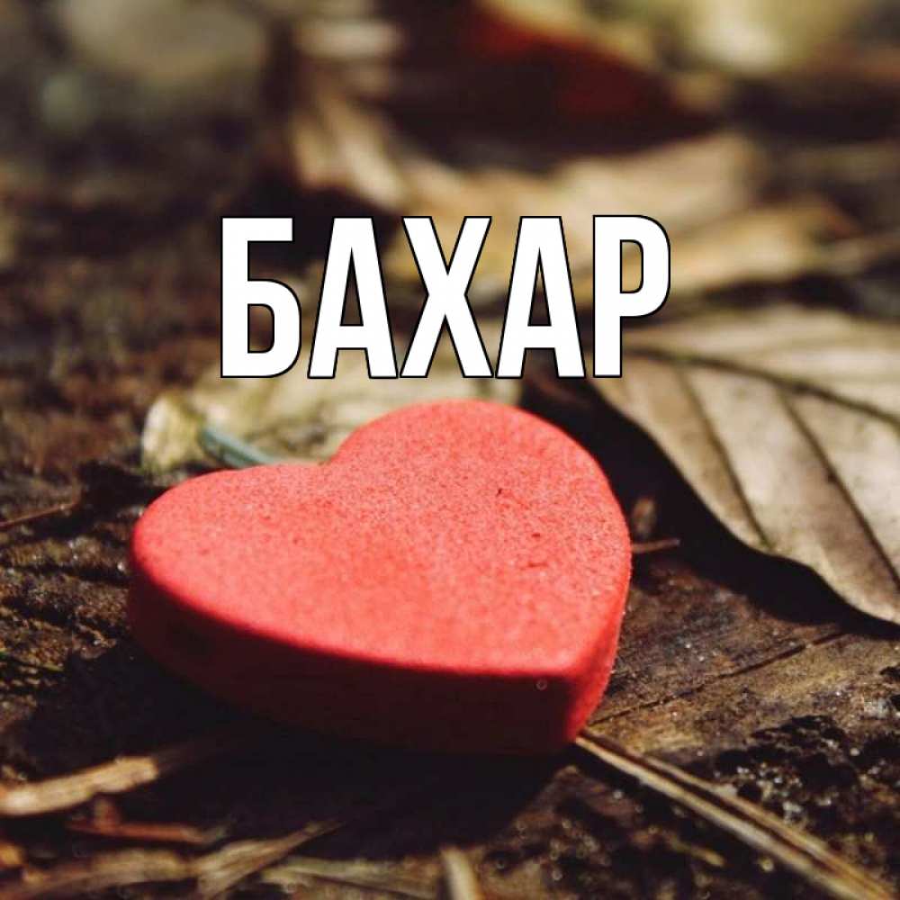 Картинка  с именем , Бахар