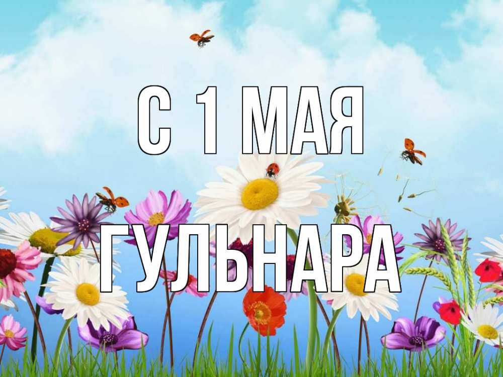 Открытка на каждый день с именем, Гульнара С 1 мая С 1 мая Прикольная открытка с пожеланием онлайн скачать бесплатно 