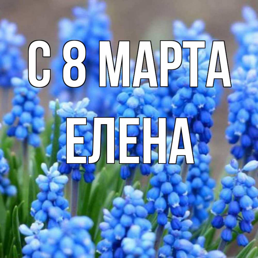 Открытка на каждый день с именем, Елена С 8 МАРТА Поздравительная открытка для женщин с цветами на праздничную дату Прикольная открытка с пожеланием онлайн скачать бесплатно 