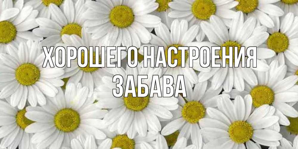 Открытка на каждый день с именем, Забава Хорошего настроения поляна ромашек Прикольная открытка с пожеланием онлайн скачать бесплатно 