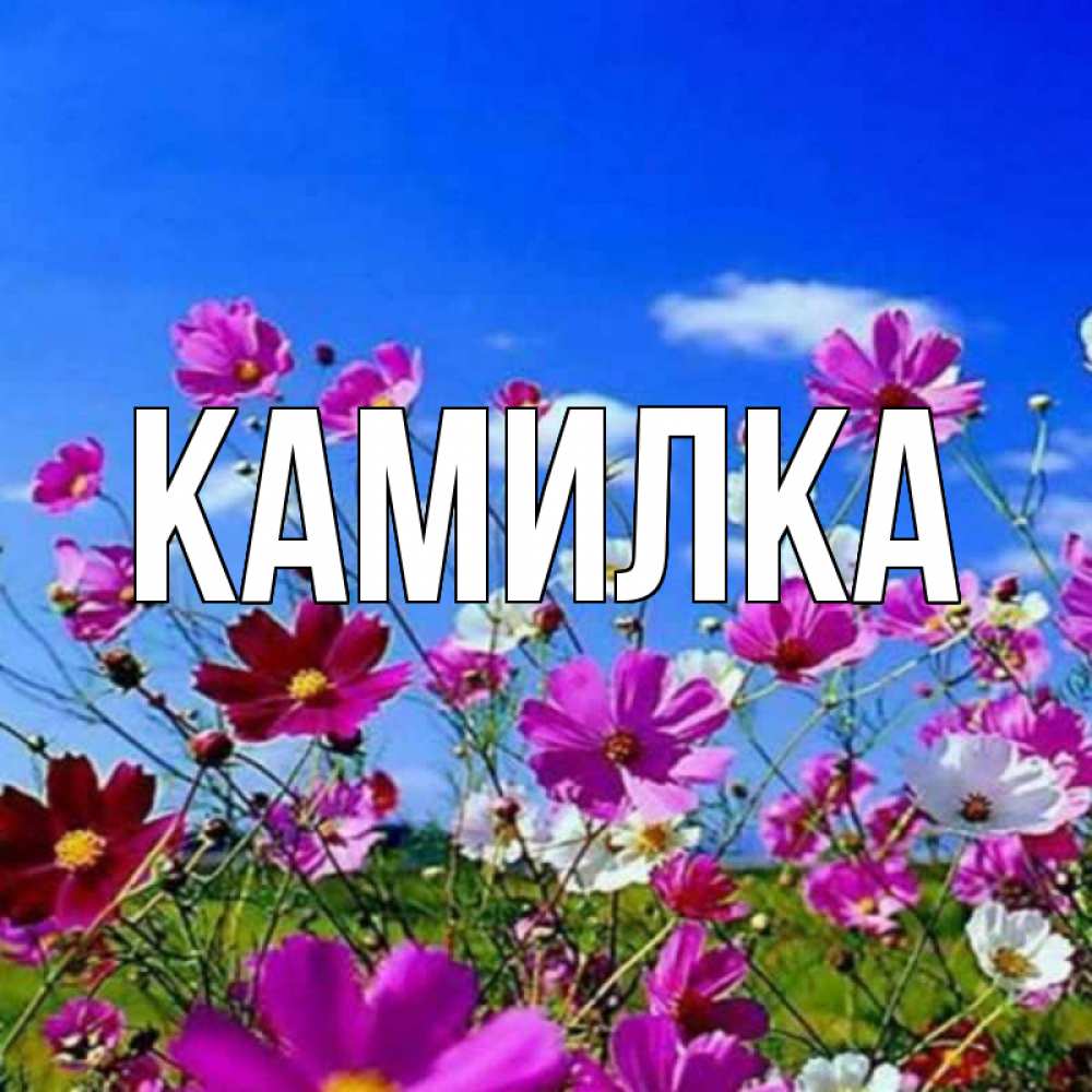Картинка Альбина