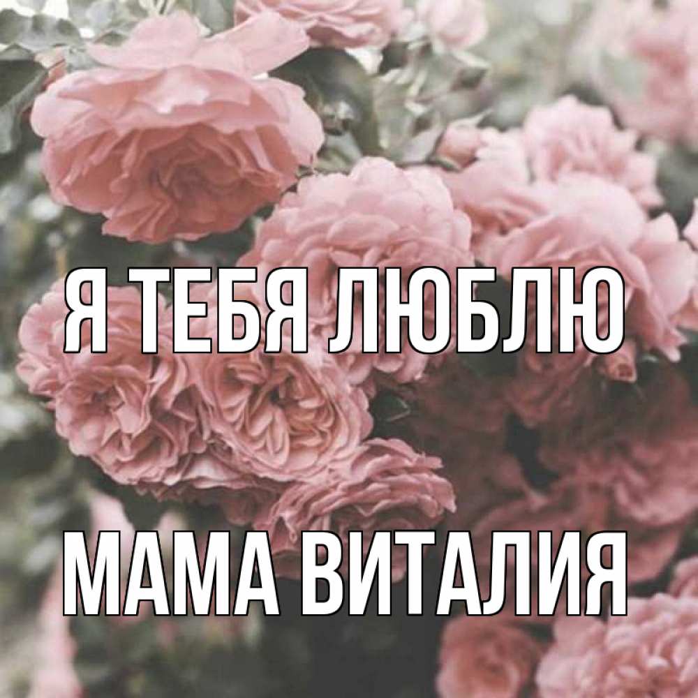 Открытка на каждый день с именем, Мама-Виталия Я тебя люблю розы 3 Прикольная открытка с пожеланием онлайн скачать бесплатно 