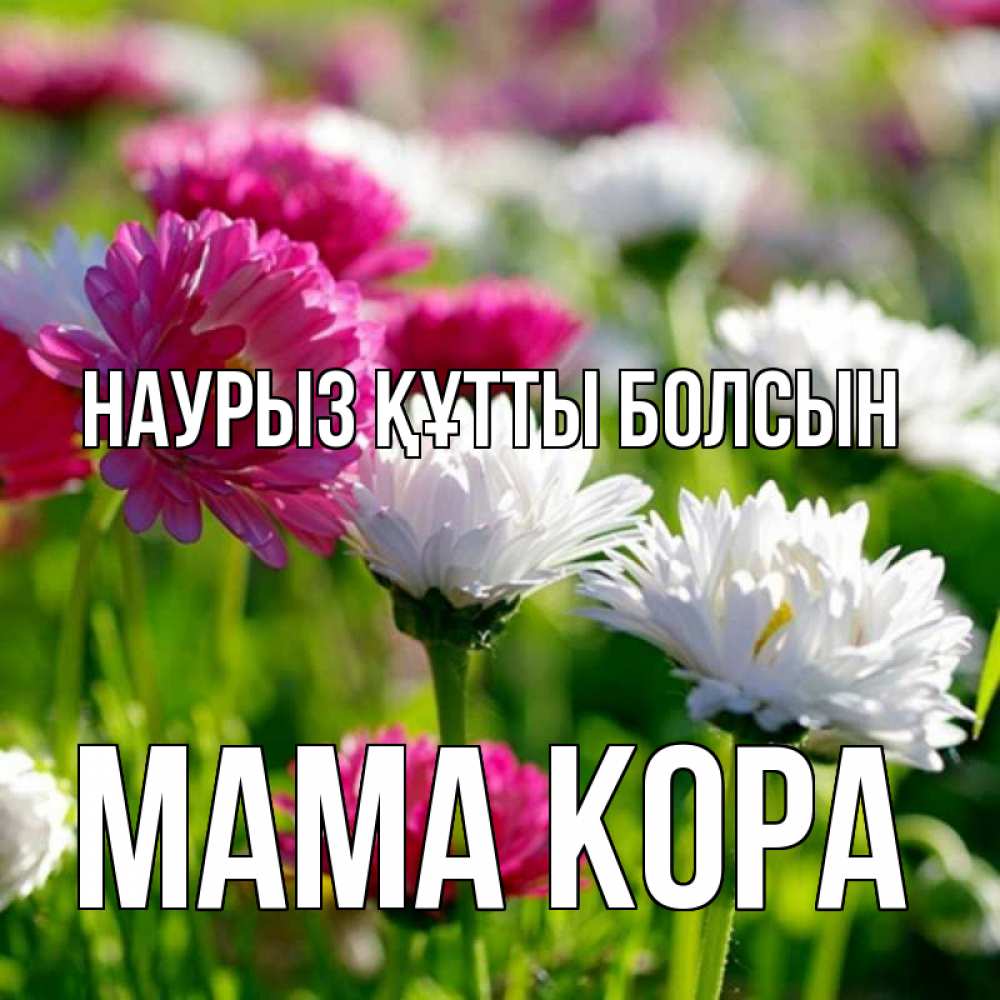 Открытка на каждый день с именем, Мама-Кора Наурыз құтты болсын наурыз Прикольная открытка с пожеланием онлайн скачать бесплатно 