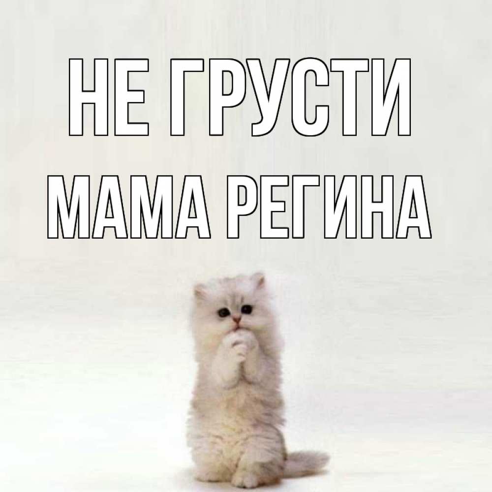 Открытка на каждый день с именем, Мама-Регина Не грусти грустный кот Прикольная открытка с пожеланием онлайн скачать бесплатно 