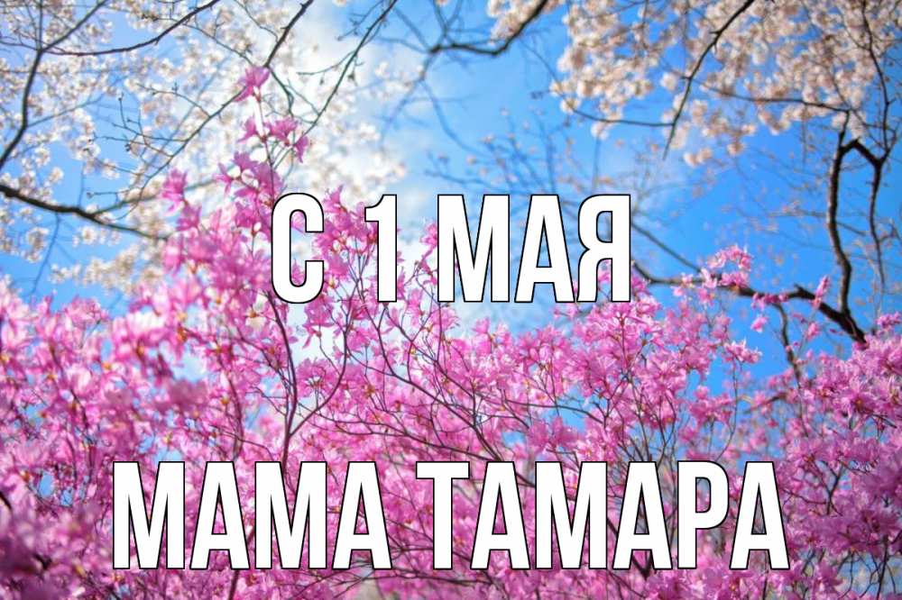 Открытка на каждый день с именем, Мама-Тамара С 1 мая С 1 мая Прикольная открытка с пожеланием онлайн скачать бесплатно 