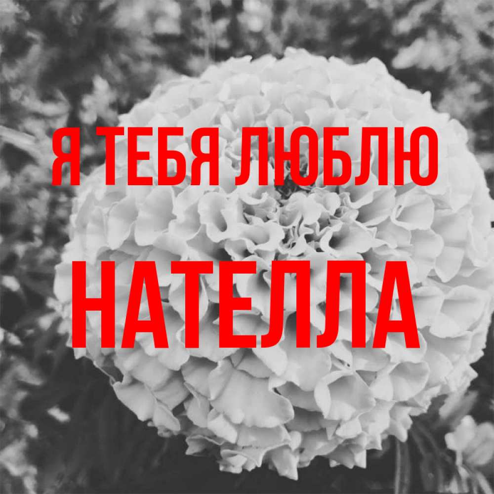 Открытка на каждый день с именем, Нателла Я тебя люблю подпись Прикольная открытка с пожеланием онлайн скачать бесплатно 