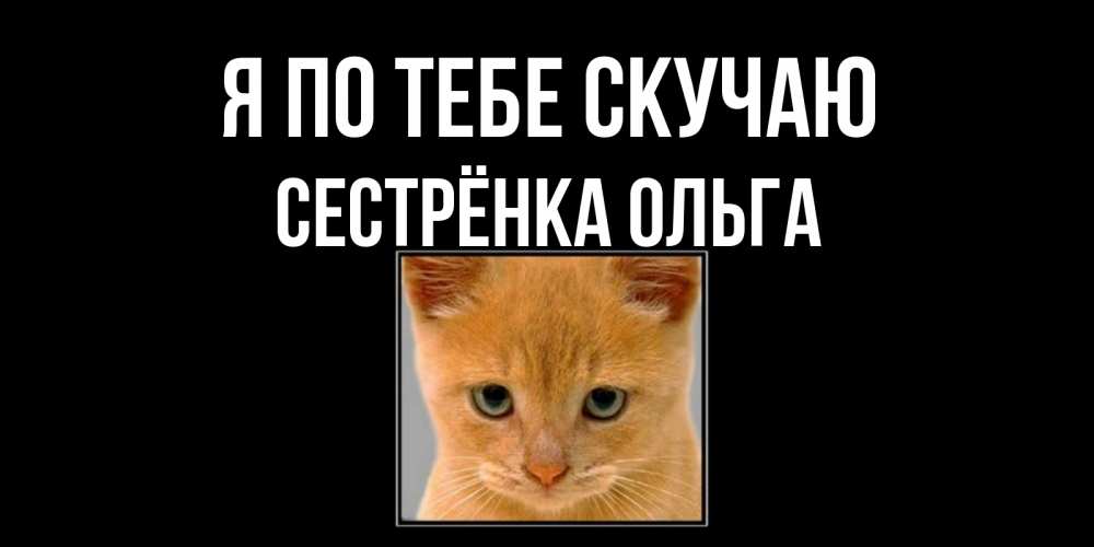 Открытка на каждый день с именем, Сестрёнка-Ольга Я по тебе скучаю открытки рыжий котенок скучает по тебе Прикольная открытка с пожеланием онлайн скачать бесплатно 