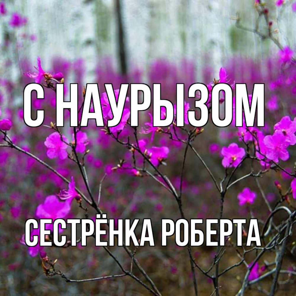 Открытка на каждый день с именем, Сестрёнка-Роберта С наурызом дикие цветы Прикольная открытка с пожеланием онлайн скачать бесплатно 