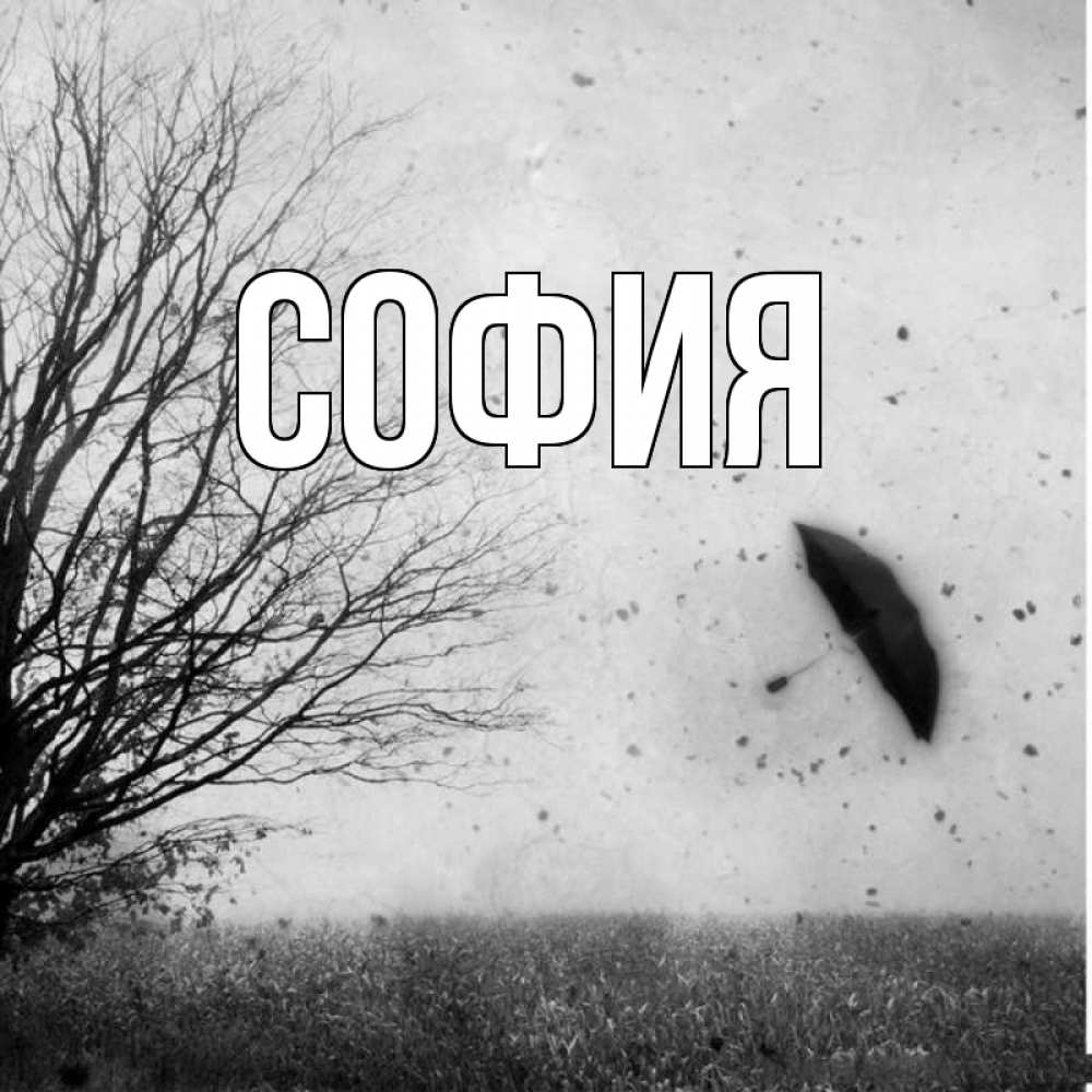 Открытка на каждый день с именем, София Главная летящий зонтик Прикольная открытка с пожеланием онлайн скачать бесплатно 