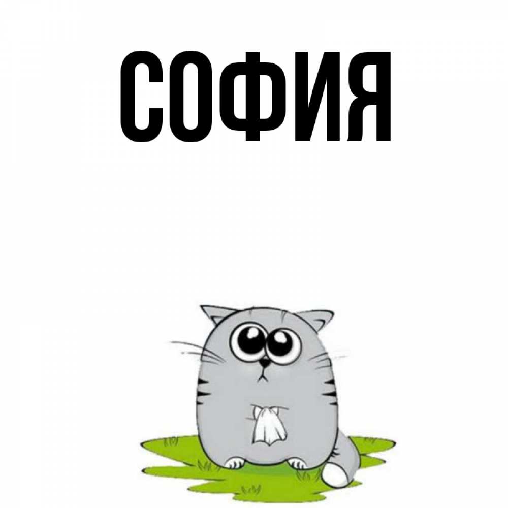 Открытка на каждый день с именем, София Главная тоска с платочком Прикольная открытка с пожеланием онлайн скачать бесплатно 