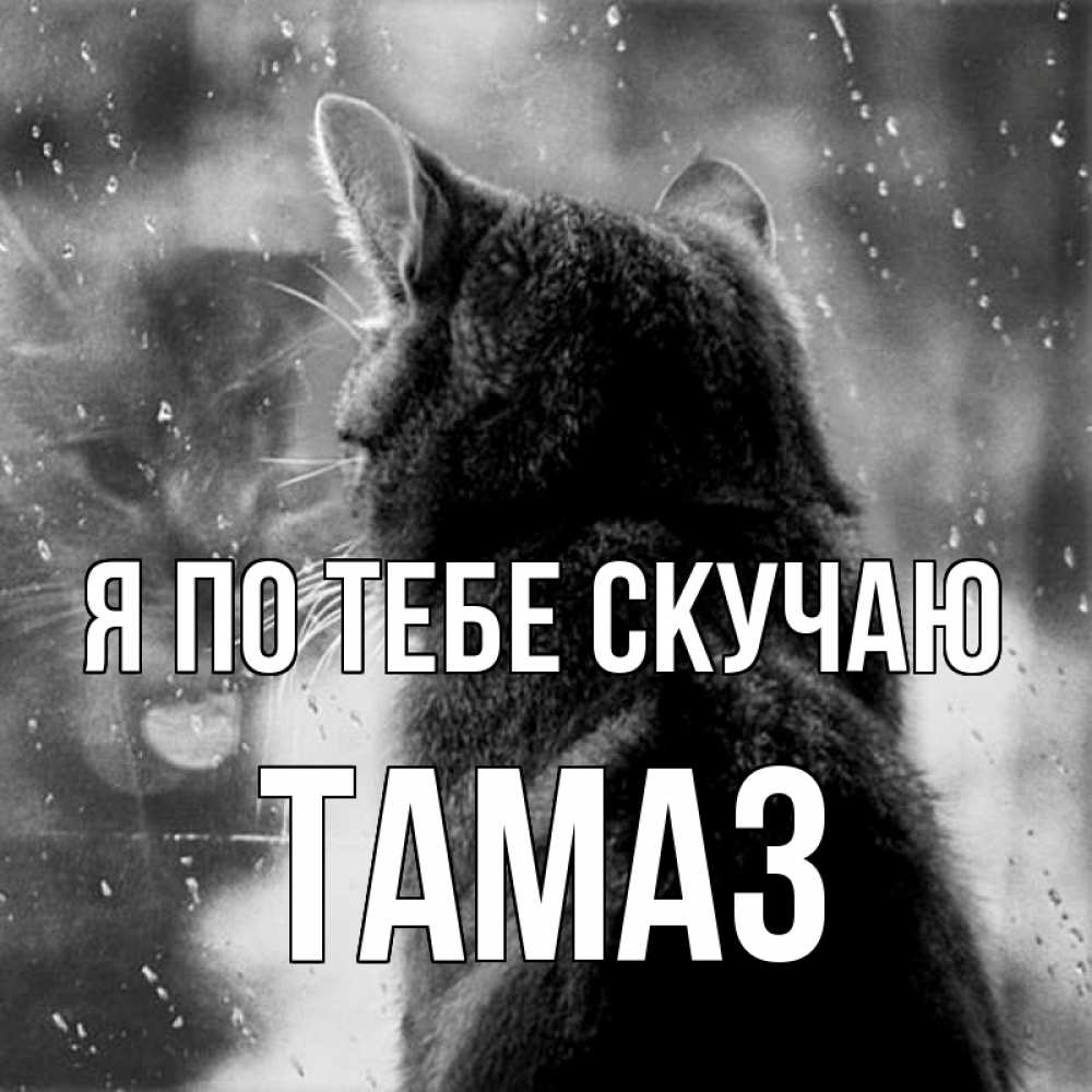 Открытка на каждый день с именем, Тамаз Я по тебе скучаю скорее ко мне приходи 1 Прикольная открытка с пожеланием онлайн скачать бесплатно 