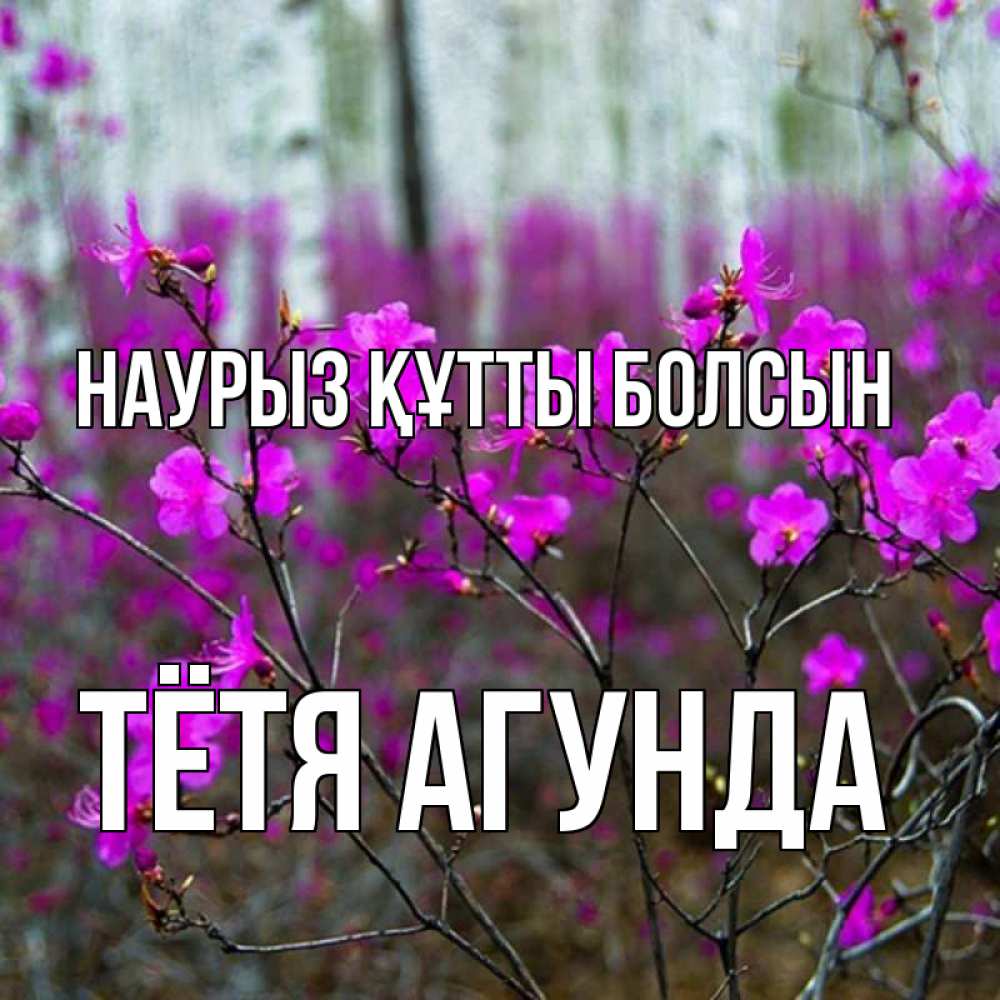 Открытка на каждый день с именем, Тётя-Агунда Наурыз құтты болсын дикие цветы Прикольная открытка с пожеланием онлайн скачать бесплатно 