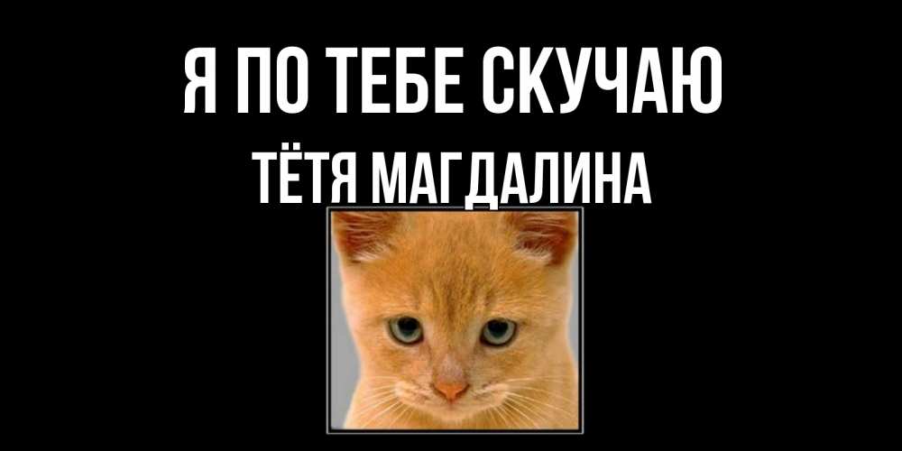 Открытка на каждый день с именем, Тётя-Магдалина Я по тебе скучаю открытки рыжий котенок скучает по тебе Прикольная открытка с пожеланием онлайн скачать бесплатно 
