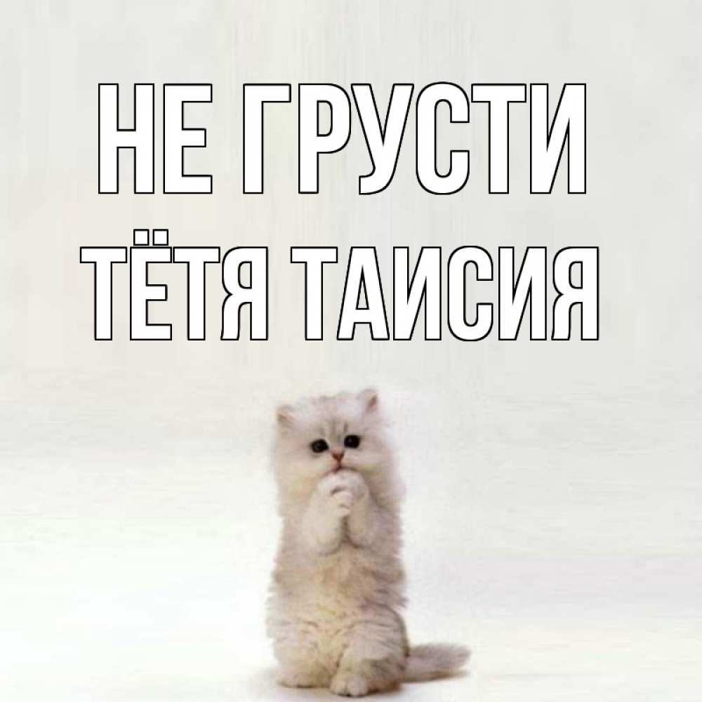 Открытка на каждый день с именем, Тётя-Таисия Не грусти грустный кот Прикольная открытка с пожеланием онлайн скачать бесплатно 