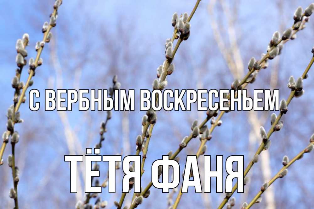 Открытка на каждый день с именем, Тётя-Фаня С вербным воскресеньем верба Прикольная открытка с пожеланием онлайн скачать бесплатно 