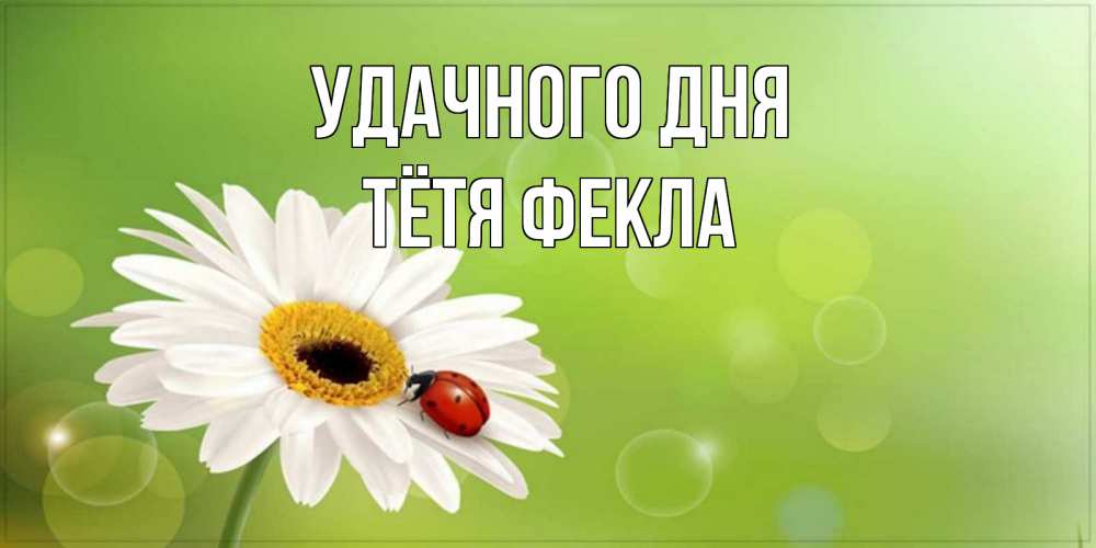 Открытка на каждый день с именем, Тётя-Фекла Удачного дня зеленый фон и ромашка Прикольная открытка с пожеланием онлайн скачать бесплатно 