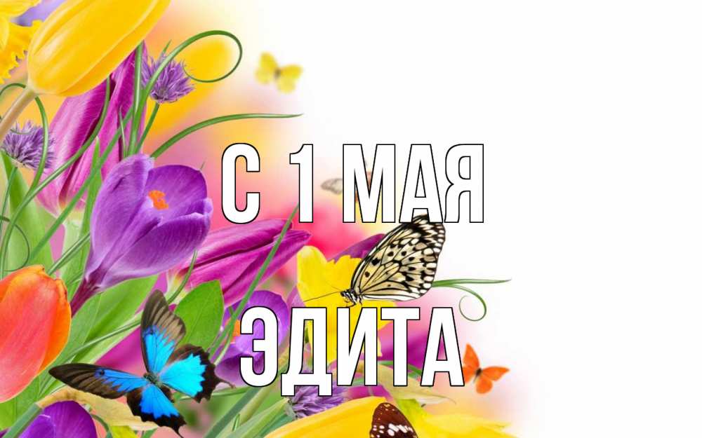 Открытка на каждый день с именем, Эдита С 1 мая С 1 мая Прикольная открытка с пожеланием онлайн скачать бесплатно 