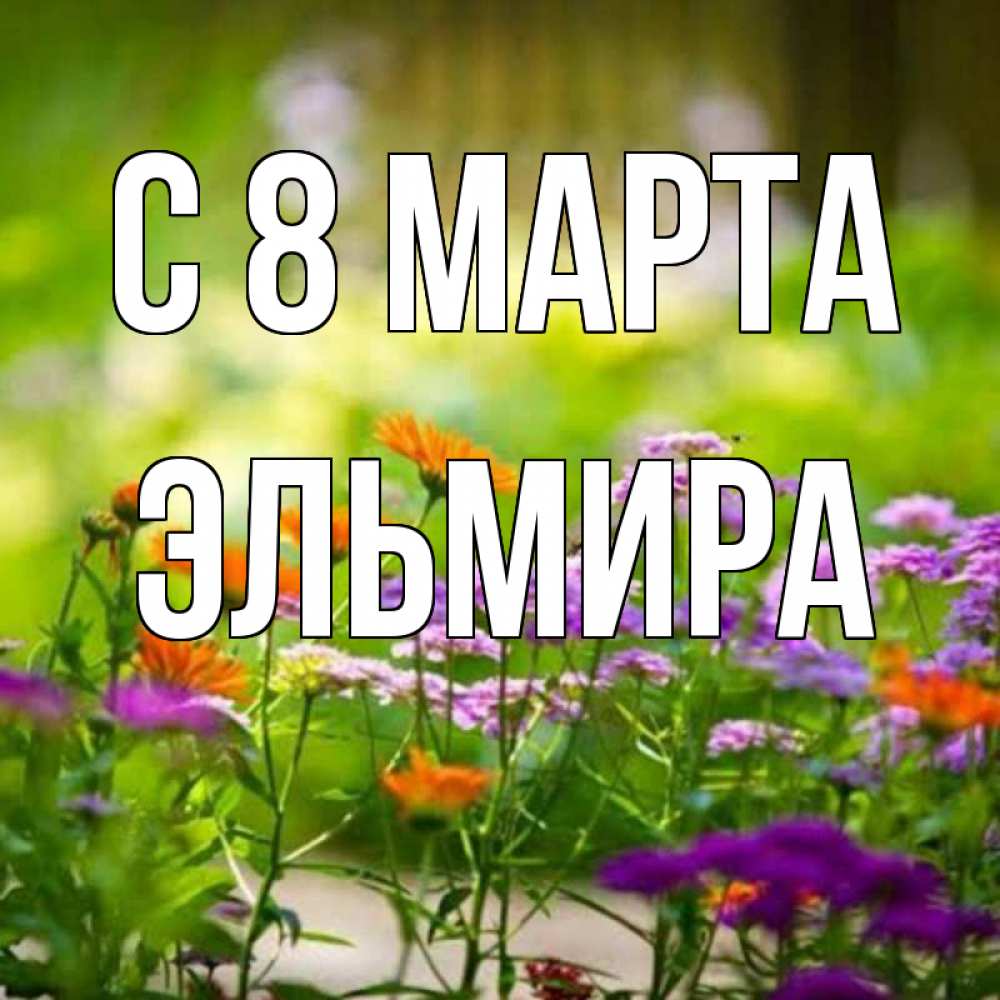 Открытка на каждый день с именем, Эльмира С 8 МАРТА цветы Прикольная открытка с пожеланием онлайн скачать бесплатно 