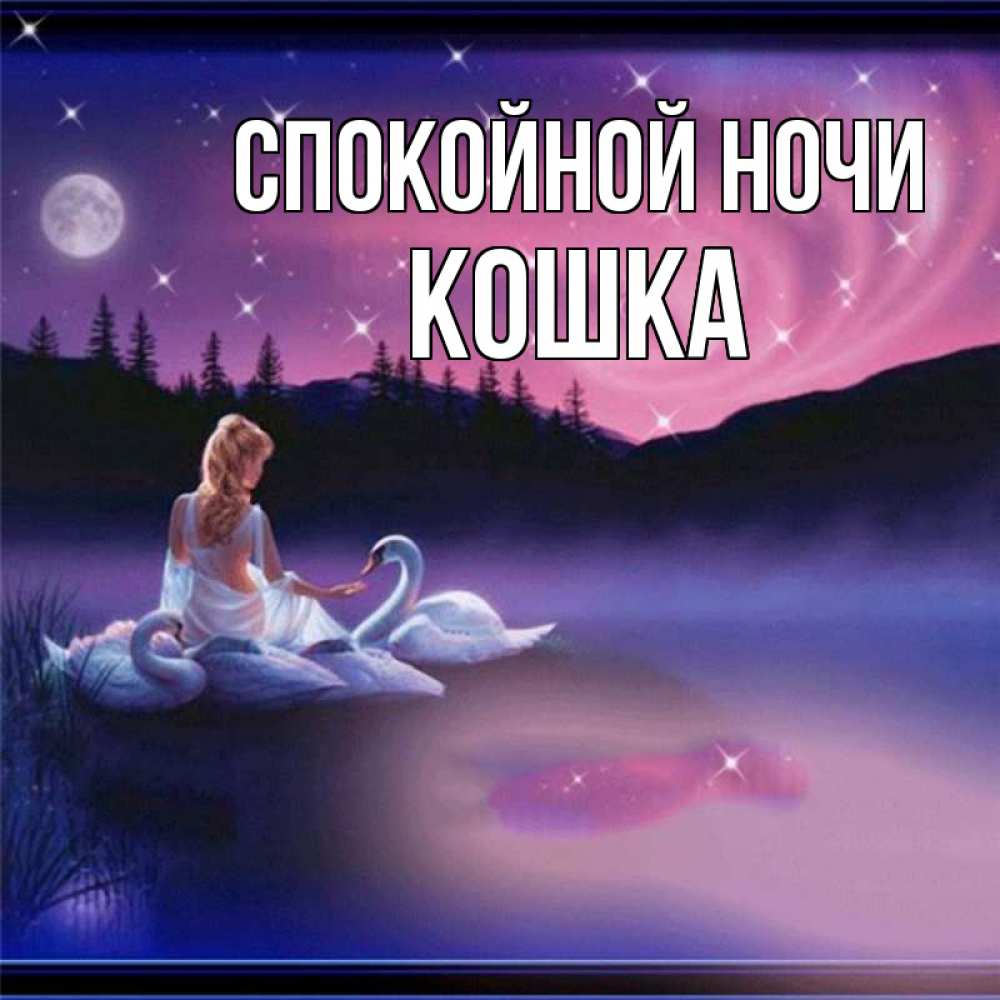 Открытка на каждый день с именем, кошка Спокойной ночи луна Прикольная открытка с пожеланием онлайн скачать бесплатно 
