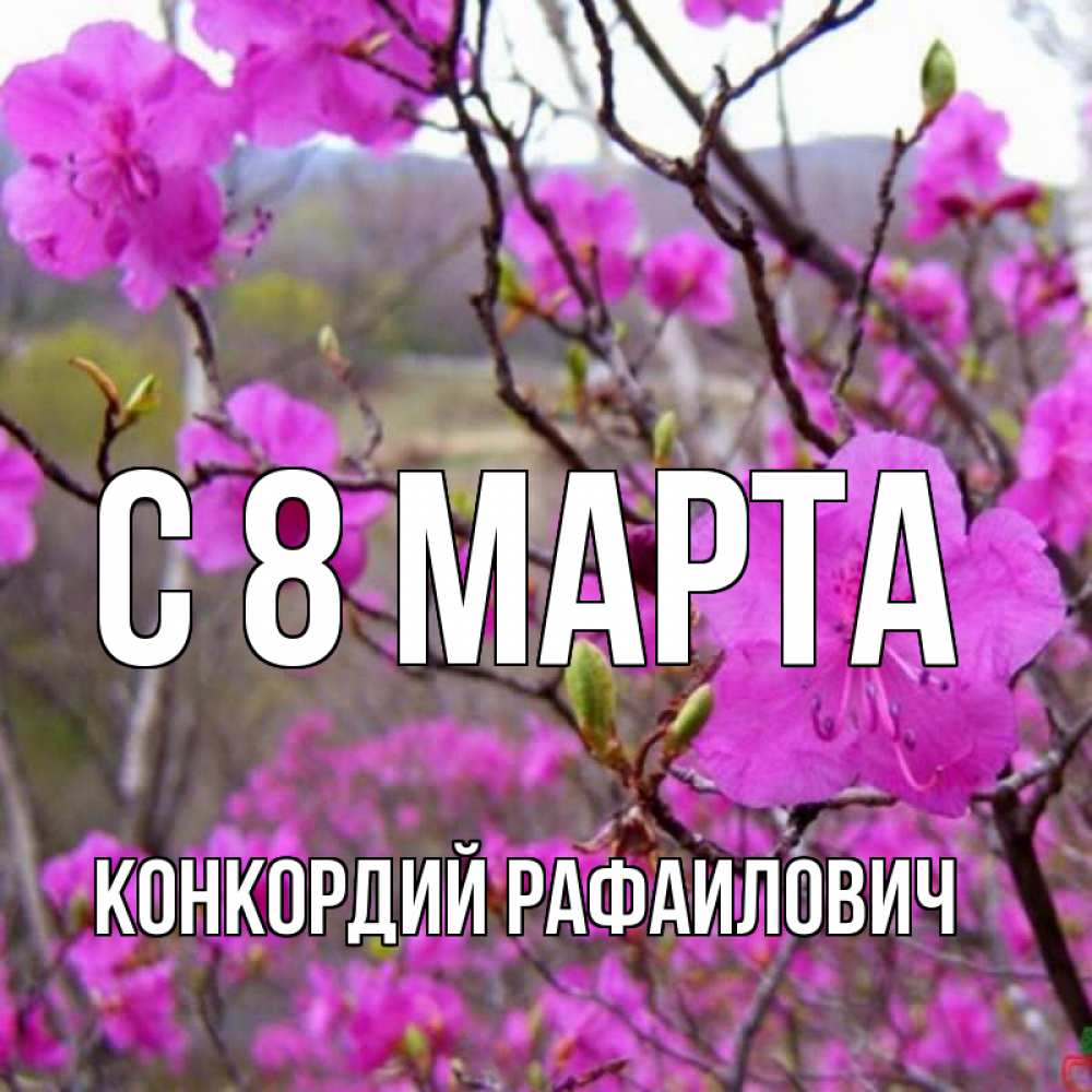 Картинка С 8 МАРТА, Конкордий Рафаилович