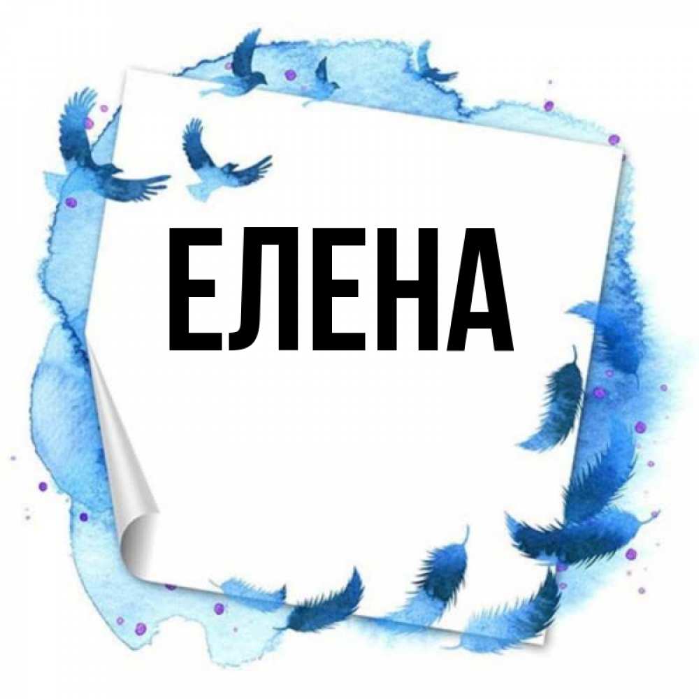 Открытка на каждый день с именем, Елена Главная красивые птицы летят Прикольная открытка с пожеланием онлайн скачать бесплатно 