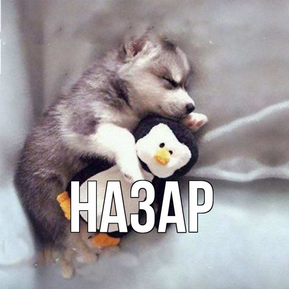 Картинка  с именем , Назар