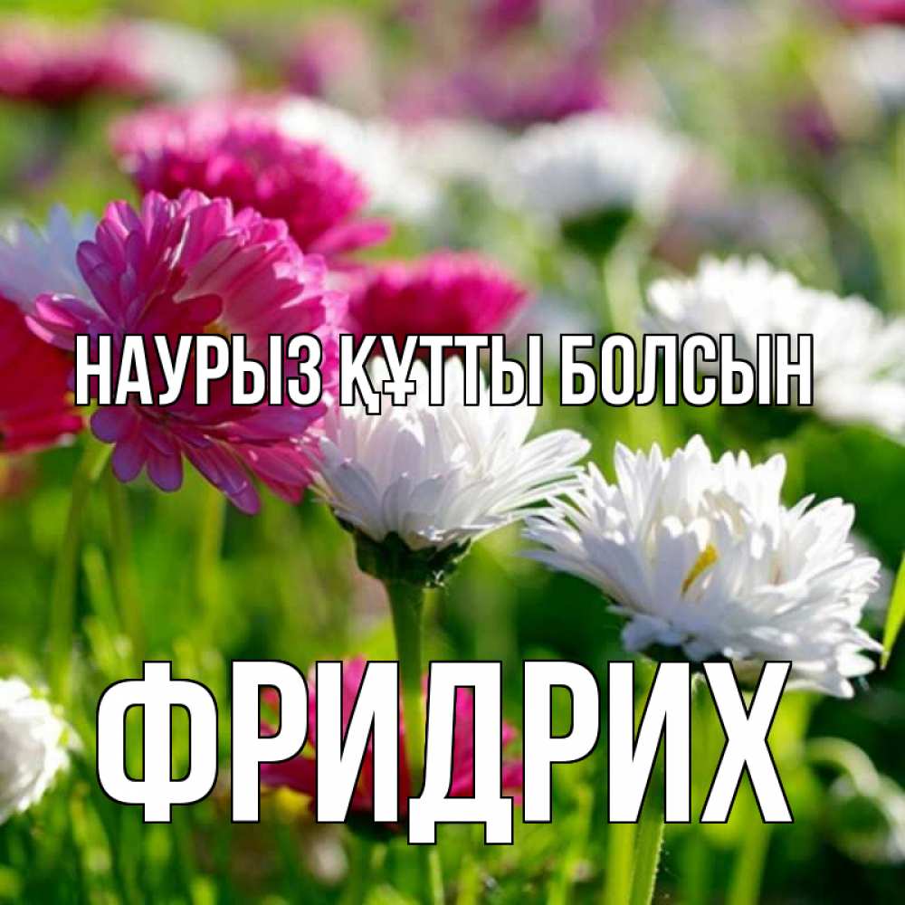 Открытка на каждый день с именем, Фридрих Наурыз құтты болсын наурыз Прикольная открытка с пожеланием онлайн скачать бесплатно 