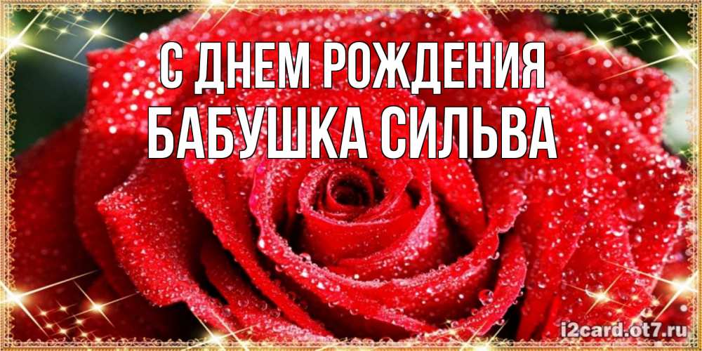 Открытка на каждый день с именем, Бабушка-Сильва С днем рождения роса и роза. открытка с красивой розой Прикольная открытка с пожеланием онлайн скачать бесплатно 
