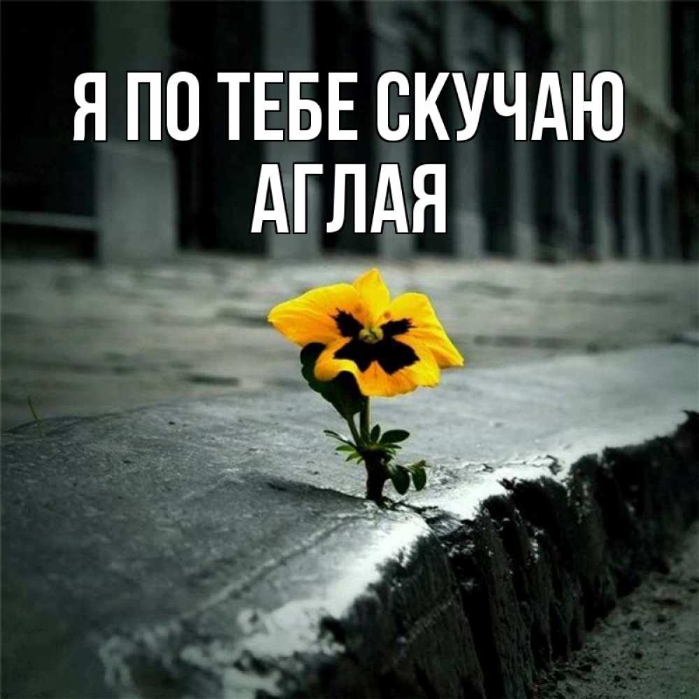 Открытка на каждый день с именем, Аглая Я по тебе скучаю надеюсь будет лучше Прикольная открытка с пожеланием онлайн скачать бесплатно 