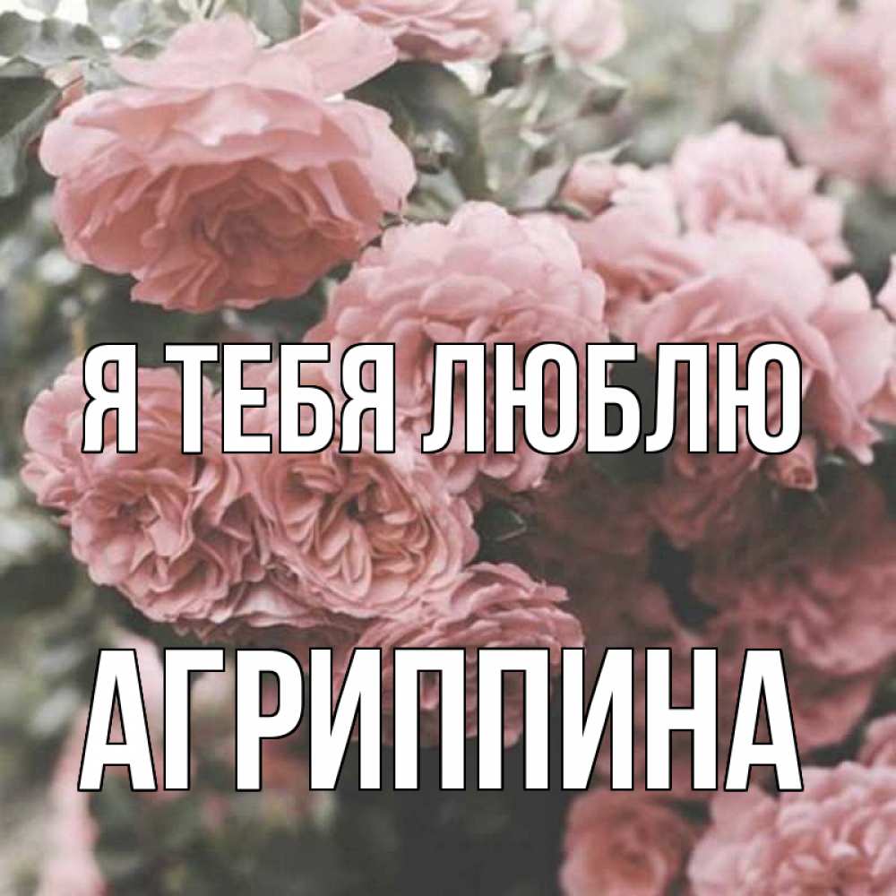 Открытка на каждый день с именем, Агриппина Я тебя люблю розы 3 Прикольная открытка с пожеланием онлайн скачать бесплатно 