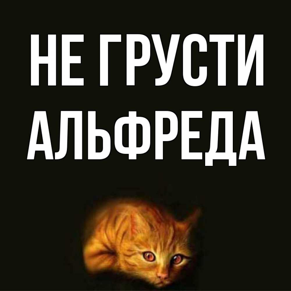 Открытка на каждый день с именем, Альфреда Не грусти лежащий кот в темноте Прикольная открытка с пожеланием онлайн скачать бесплатно 