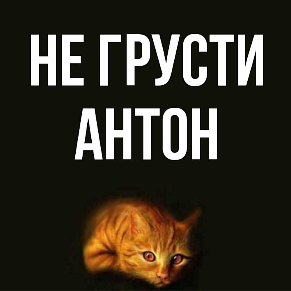 Открытка на каждый день с именем, Антон Не грусти лежащий кот в темноте Прикольная открытка с пожеланием онлайн скачать бесплатно 
