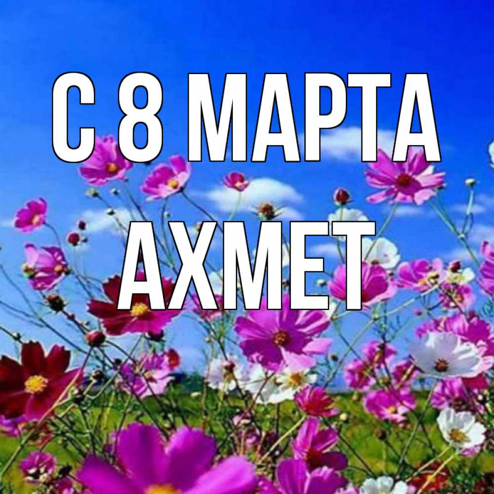 Открытка на каждый день с именем, Ахмет С 8 МАРТА цветы Прикольная открытка с пожеланием онлайн скачать бесплатно 