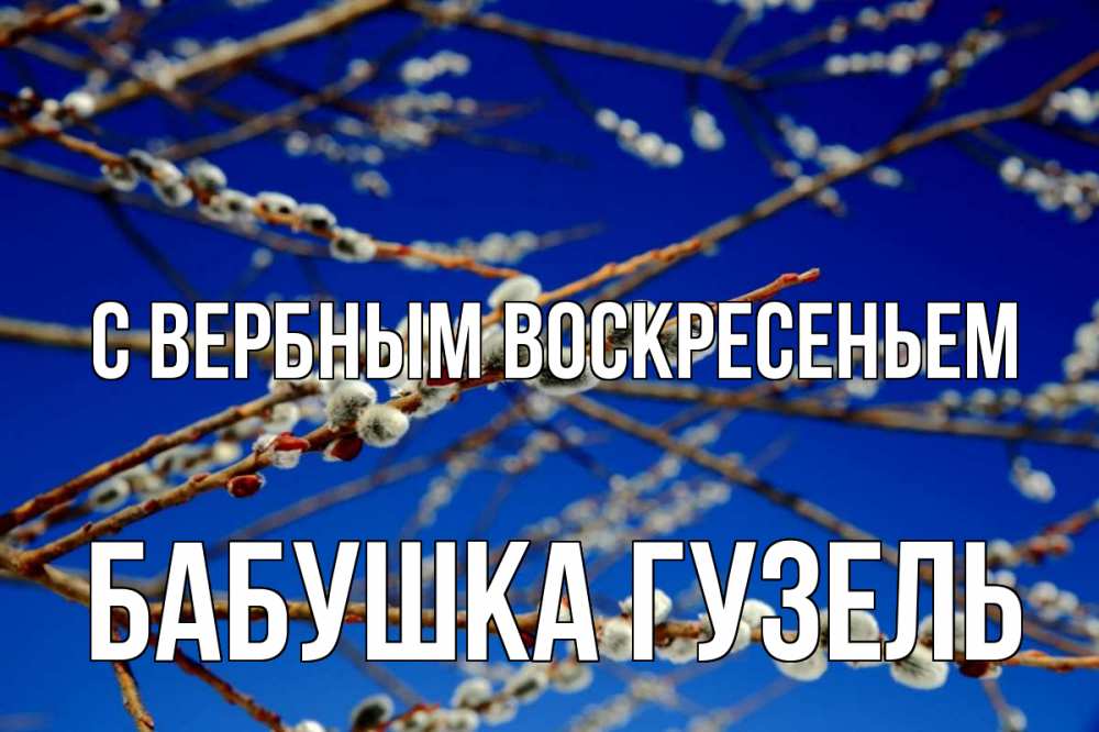 Открытка на каждый день с именем, Бабушка-Гузель С вербным воскресеньем верба Прикольная открытка с пожеланием онлайн скачать бесплатно 