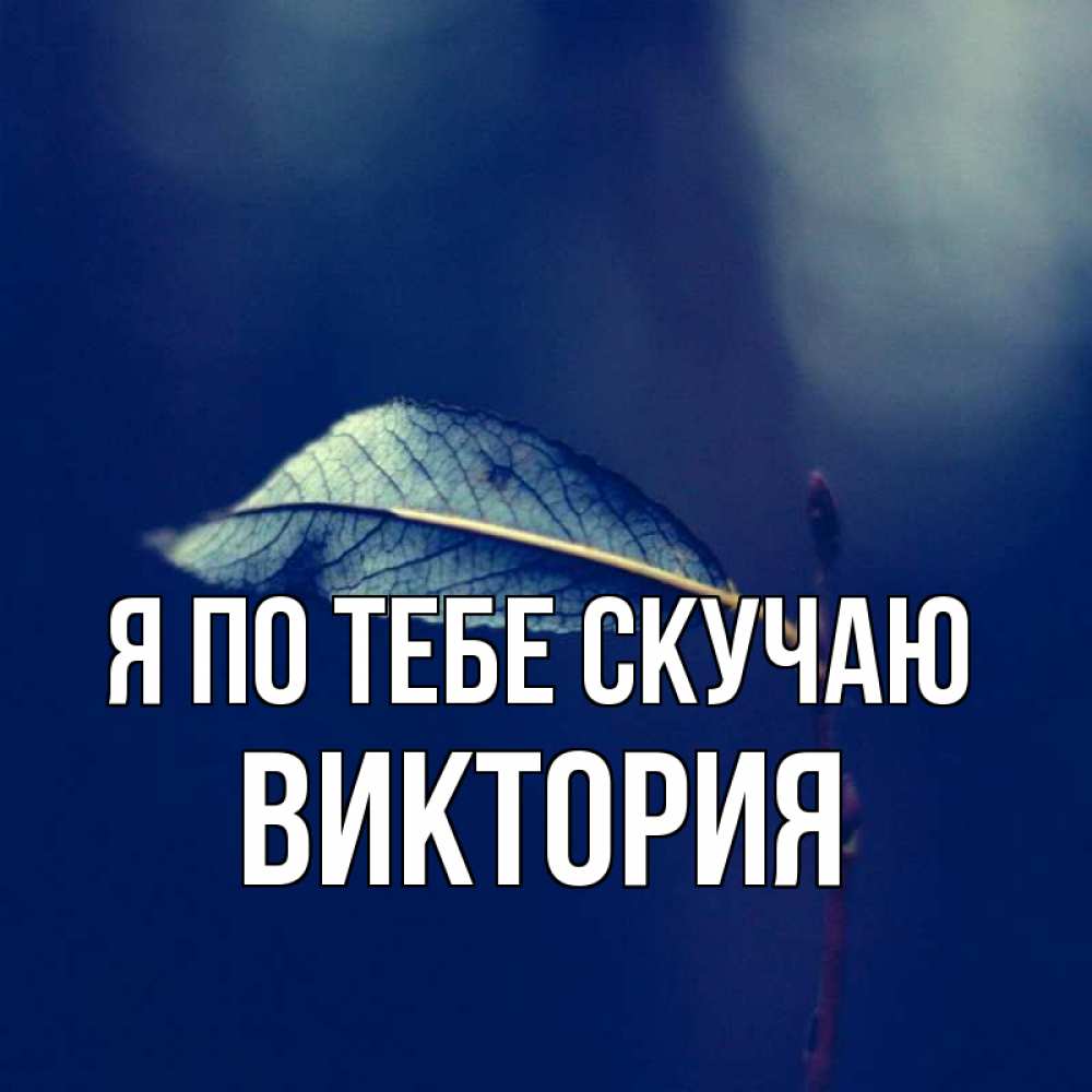 Открытка на каждый день с именем, Виктория Я по тебе скучаю одна ветка 1 Прикольная открытка с пожеланием онлайн скачать бесплатно 