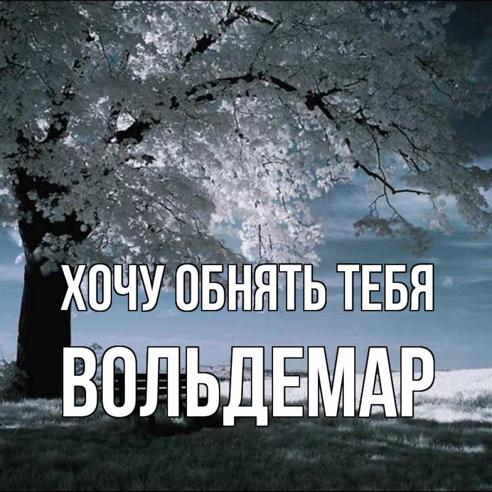Открытка на каждый день с именем, Вольдемар Хочу обнять тебя дерево Прикольная открытка с пожеланием онлайн скачать бесплатно 