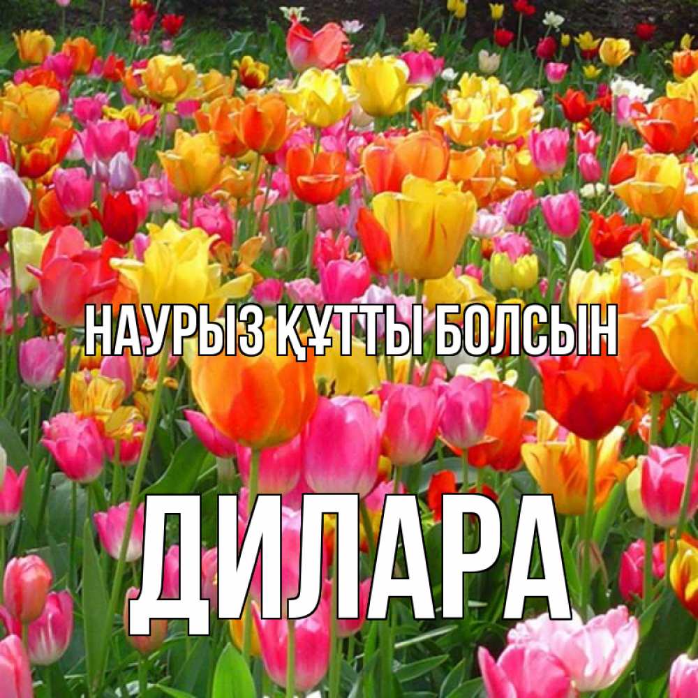 Открытка на каждый день с именем, Дилара Наурыз құтты болсын на наурыз  ура ура Прикольная открытка с пожеланием онлайн скачать бесплатно 