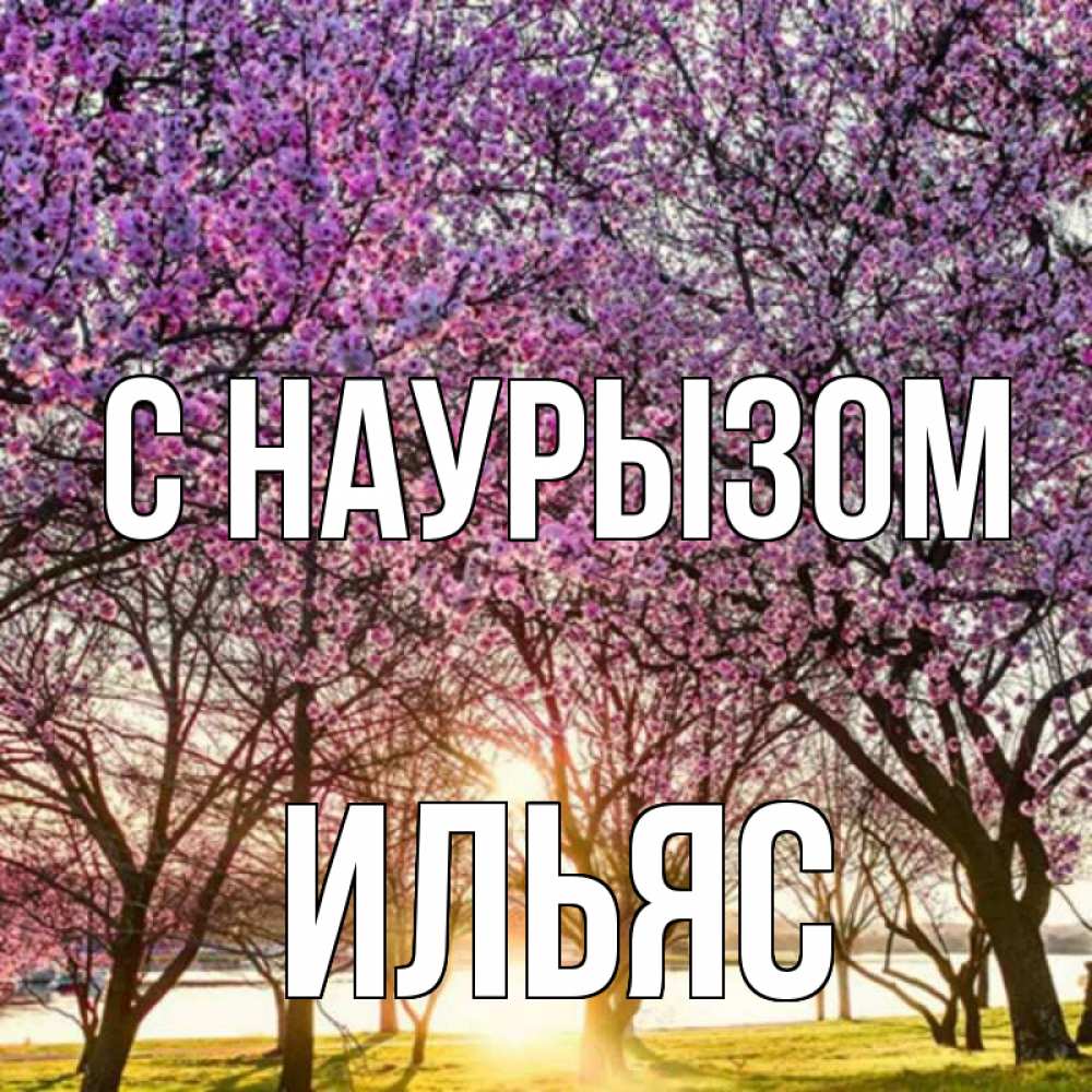 Открытка на каждый день с именем, Ильяс С наурызом праздник весны наурыз Прикольная открытка с пожеланием онлайн скачать бесплатно 