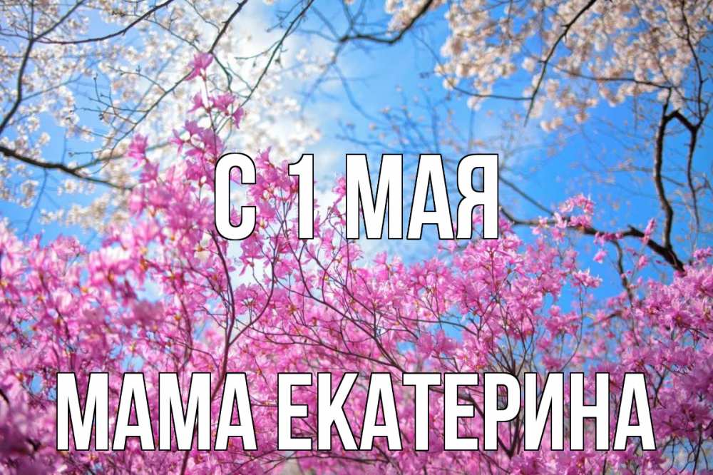 Открытка на каждый день с именем, Мама-Екатерина С 1 мая С 1 мая Прикольная открытка с пожеланием онлайн скачать бесплатно 