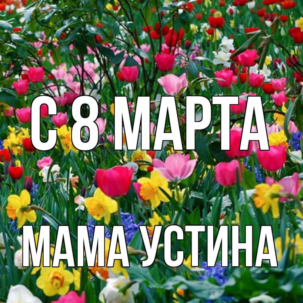 Открытка на каждый день с именем, Мама-Устина С 8 МАРТА с международным женским днем поздравления для женщины Прикольная открытка с пожеланием онлайн скачать бесплатно 
