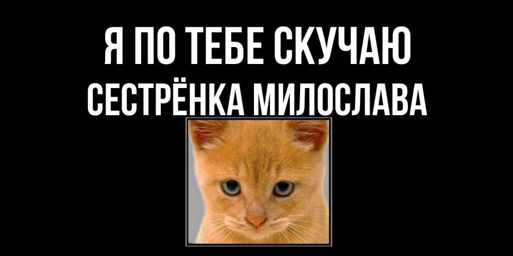 Открытка на каждый день с именем, Сестрёнка-Милослава Я по тебе скучаю открытки рыжий котенок скучает по тебе Прикольная открытка с пожеланием онлайн скачать бесплатно 