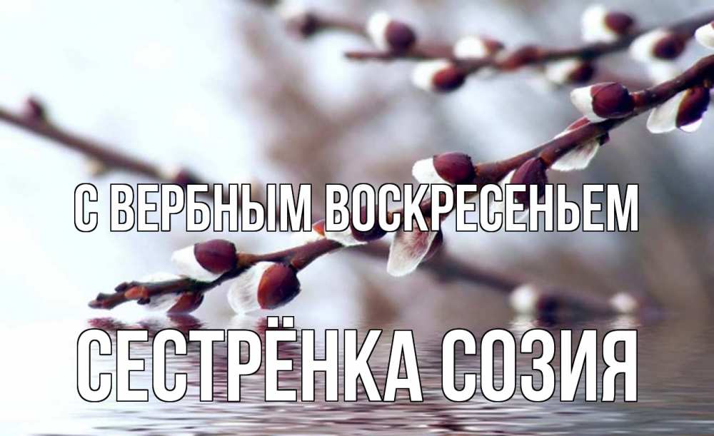 Открытка на каждый день с именем, Сестрёнка-Созия С вербным воскресеньем верба, ручей Прикольная открытка с пожеланием онлайн скачать бесплатно 