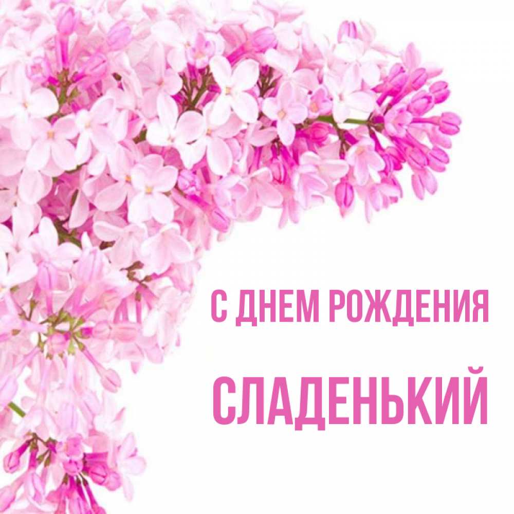 Открытка на каждый день с именем, Сладенький С днем рождения Сирень на белом фоне Прикольная открытка с пожеланием онлайн скачать бесплатно 