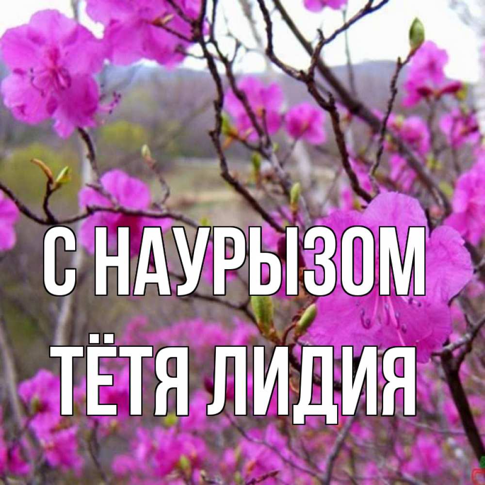Открытка на каждый день с именем, Тётя-Лидия С наурызом праздник весны наурыз Прикольная открытка с пожеланием онлайн скачать бесплатно 