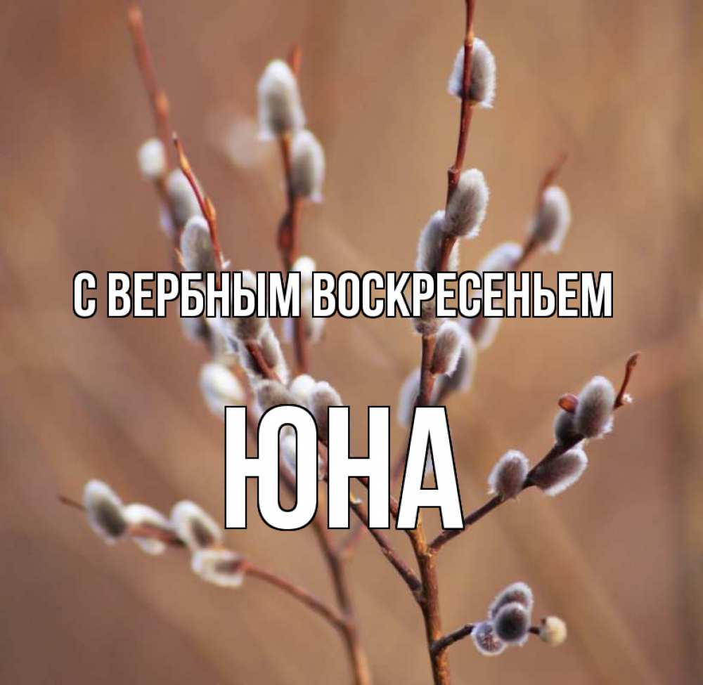 Открытка на каждый день с именем, Юна С вербным воскресеньем верба Прикольная открытка с пожеланием онлайн скачать бесплатно 