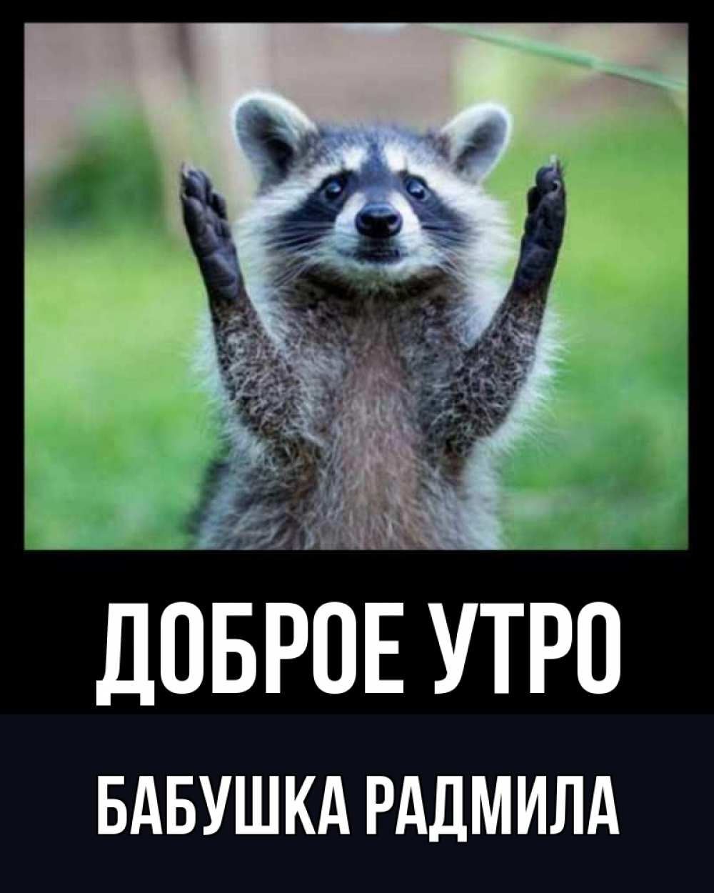 Открытка на каждый день с именем, Бабушка-Радмила Доброе утро хорошее настроение утречком Прикольная открытка с пожеланием онлайн скачать бесплатно 