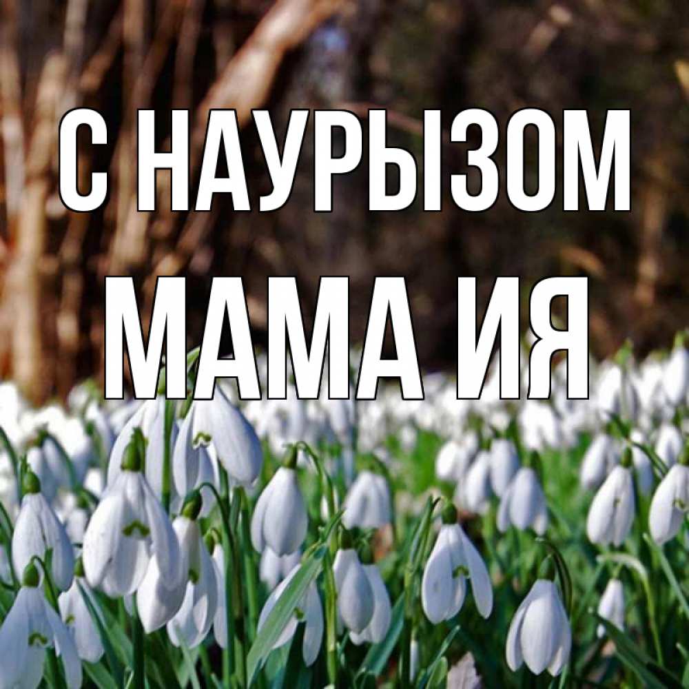 Открытка на каждый день с именем, Мама-Ия С наурызом с подснежниками 1 Прикольная открытка с пожеланием онлайн скачать бесплатно 